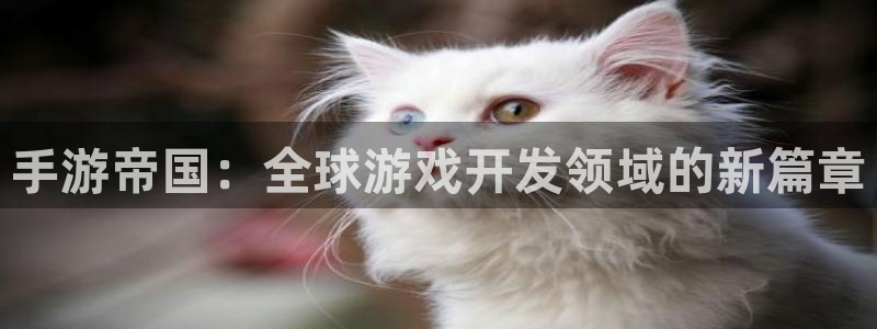 最新28大神预：手游帝国：全球游戏开发领域的新篇章