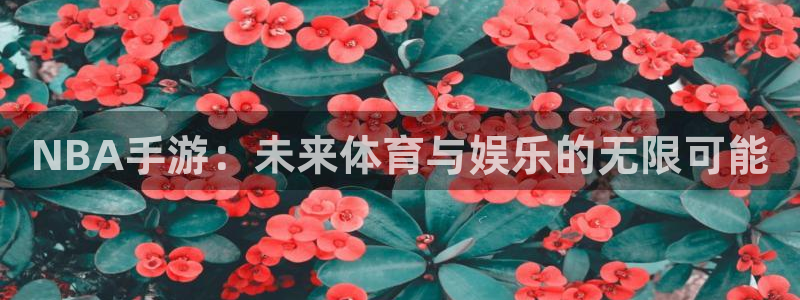 最新28大神预测：NBA手游：未来体育与娱乐的无限可能